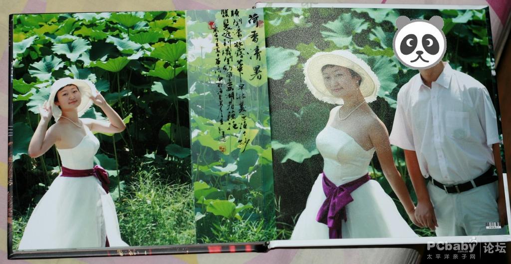 荷塘月色，哈哈，只能想想