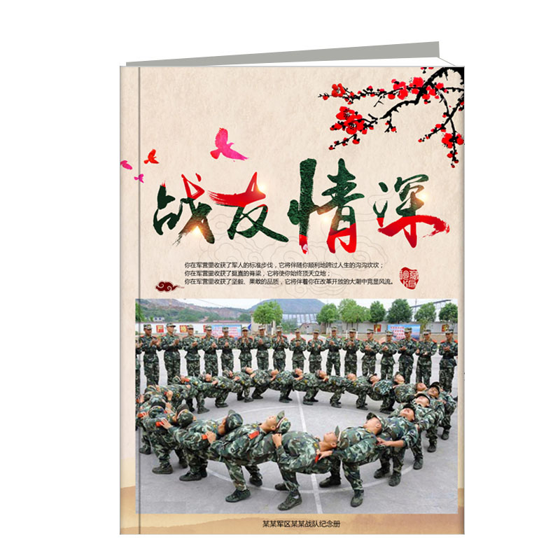 戰(zhàn)友情深